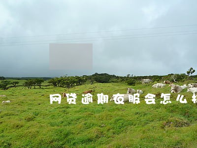 网贷逾期衣服会怎么样 网贷逾期衣服会怎么样