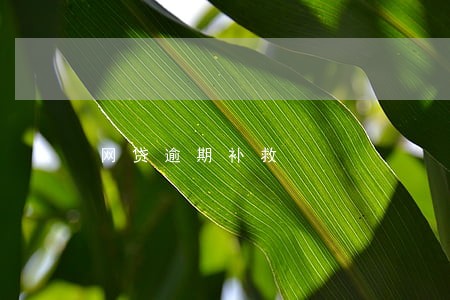 网贷逾期补救 网贷逾期补救