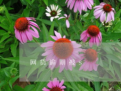网贷逾期被s 网贷逾期被s