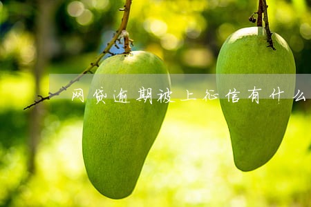 网贷逾期被上征信有什么影响 网贷逾期被上征信有什么影响