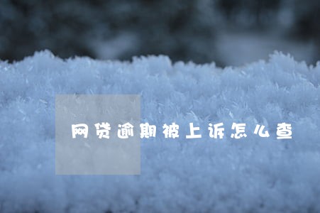 网贷逾期被上诉怎么查