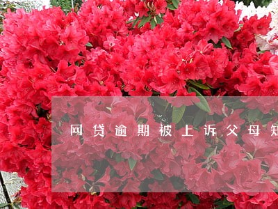 网贷逾期被上诉父母知道嘛 网贷逾期被上诉父母知道嘛