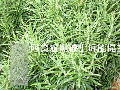 网贷逾期被上诉能提前协商吗 网贷逾期被上诉能提前协商吗