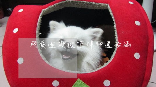 网贷逾期被下律师通告涵 网贷逾期被下律师通告涵