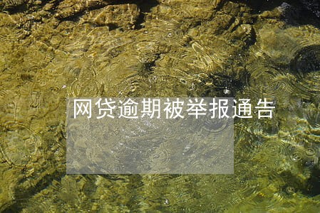 网贷逾期被举报通告 网贷逾期被举报通告