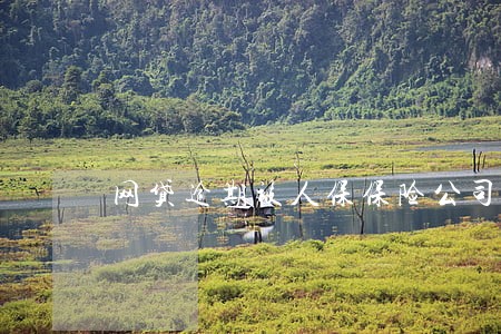 网贷逾期被人保保险公司起诉 网贷逾期被人保保险公司起诉