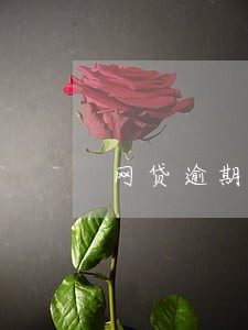 网贷逾期被人发短信告诉起诉 网贷逾期被人发短信告诉起诉