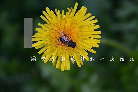 网贷逾期被仲裁一次性结清 网贷逾期被仲裁一次性结清