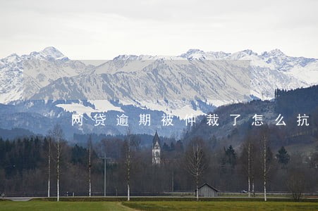 网贷逾期被仲裁了怎么抗辩 网贷逾期被仲裁了怎么抗辩