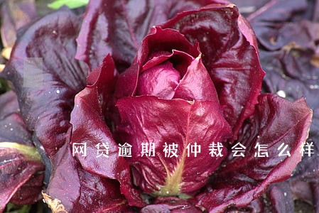 网贷逾期被仲裁会怎么样 网贷逾期被仲裁会怎么样