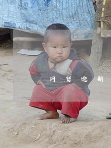 网贷逾期被仲裁后会冻结银行卡吗 网贷逾期被仲裁后会冻结银行卡吗