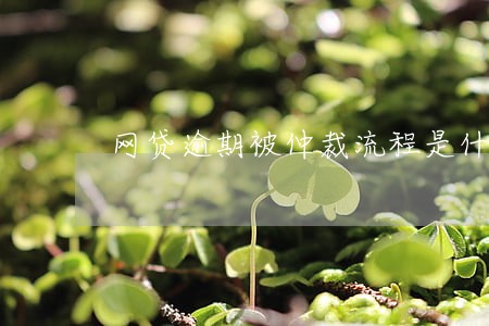 网贷逾期被仲裁流程是什么样的 网贷逾期被仲裁流程是什么样的