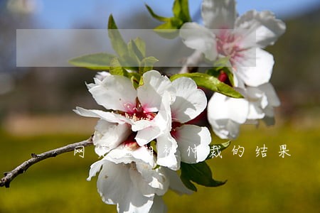 网贷逾期被仲裁的结果 网贷逾期被仲裁的结果