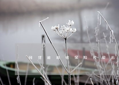 网贷逾期被保险代偿后会怎么样 网贷逾期被保险代偿后会怎么样
