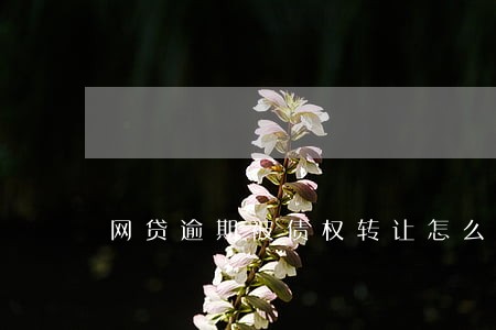 网贷逾期被债权转让怎么办 网贷逾期被债权转让怎么办