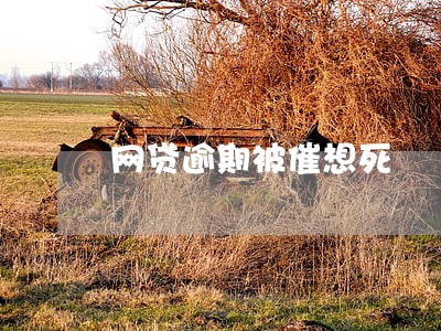 网贷逾期被催想死 网贷逾期被催想死