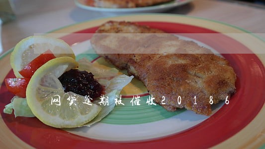 网贷逾期被催收20186 网贷逾期被催收20186