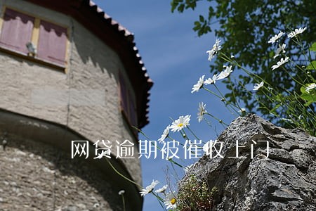 网贷逾期被催收上门 网贷逾期被催收上门