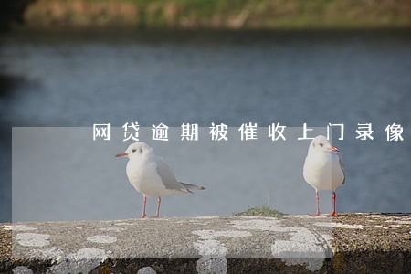 网贷逾期被催收上门录像 网贷逾期被催收上门录像