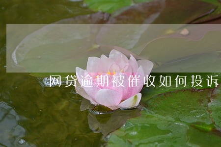 网贷逾期被催收如何投诉 网贷逾期被催收如何投诉