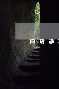 网贷逾期被催收打什么电话 网贷逾期被催收打什么电话
