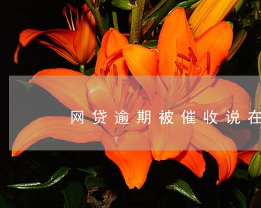网贷逾期被催收说在经侦大队 网贷逾期被催收说在经侦大队
