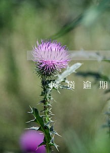 网贷逾期被催款每个人都不一样 网贷逾期被催款每个人都不一样