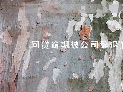 网贷逾期被公司辞退怎样赔偿 网贷逾期被公司辞退怎样赔偿