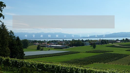 网贷逾期被公诉了怎么办 网贷逾期被公诉了怎么办