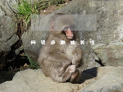 网贷逾期被关注 网贷逾期被关注