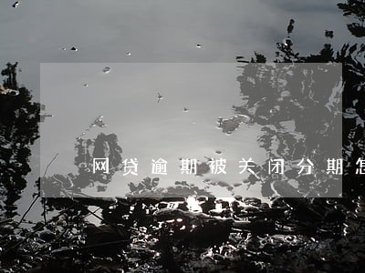 网贷逾期被关闭分期怎么办 网贷逾期被关闭分期怎么办
