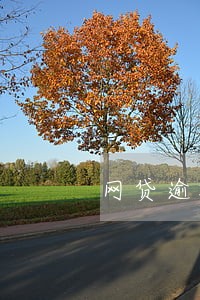 网贷逾期被冻结多久解冻 网贷逾期被冻结多久解冻