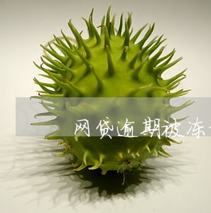 网贷逾期被冻结工资卡