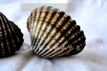 网贷逾期被冻结怎么去还款 网贷逾期被冻结怎么去还款