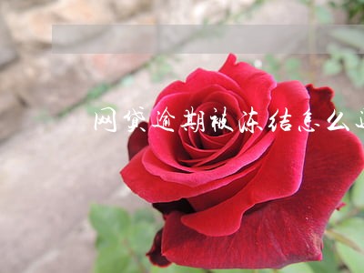 网贷逾期被冻结怎么还款 网贷逾期被冻结怎么还款