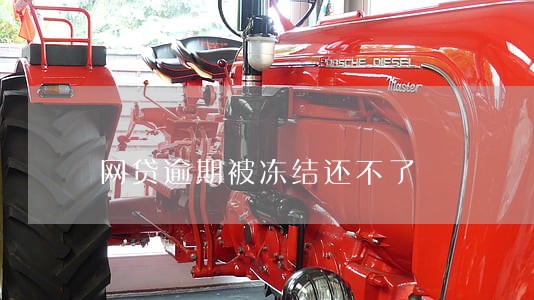 网贷逾期被冻结还不了 网贷逾期被冻结还不了