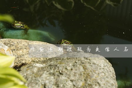 网贷逾期被列为失信人名单了 网贷逾期被列为失信人名单了