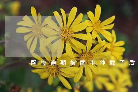 网贷逾期被南平仲裁了后果 网贷逾期被南平仲裁了后果