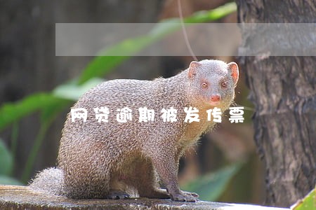 网贷逾期被发传票 网贷逾期被发传票