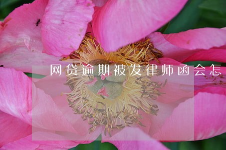 网贷逾期被发律师函会怎么样 网贷逾期被发律师函会怎么样