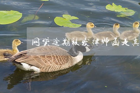 网贷逾期被发律师函是真的吗 网贷逾期被发律师函是真的吗