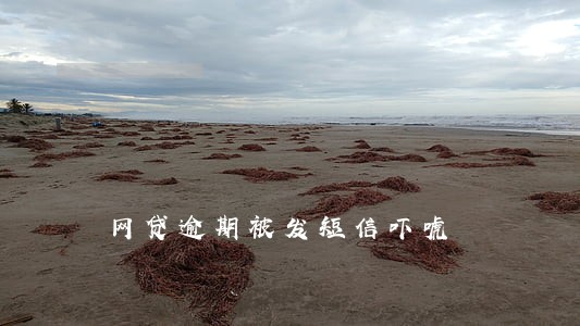 网贷逾期被发短信吓唬 网贷逾期被发短信吓唬