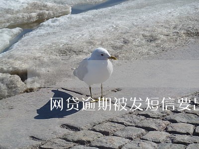 网贷逾期被发短信要出席法院 网贷逾期被发短信要出席法院