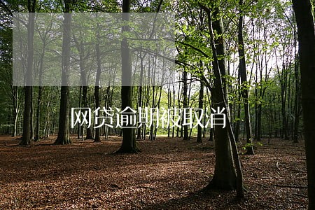 网贷逾期被取消 网贷逾期被取消