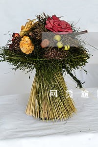 网贷逾期被取消了分期怎么办 网贷逾期被取消了分期怎么办