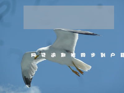网贷逾期被同步到户籍所在地 网贷逾期被同步到户籍所在地