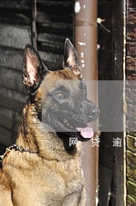 网贷逾期被告上法院