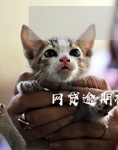 网贷逾期被告入经侦吗 网贷逾期被告入经侦吗