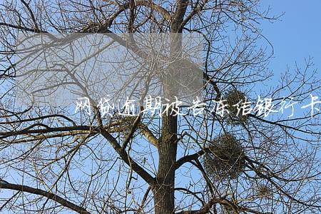网贷逾期被告冻结银行卡 网贷逾期被告冻结银行卡