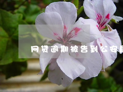 网贷逾期被告到公安局说诈骗 网贷逾期被告到公安局说诈骗